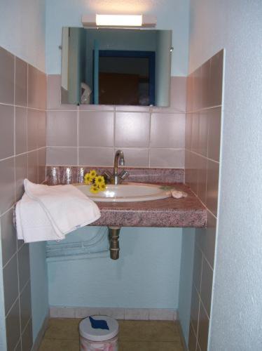 Citotel Hotel Le Commerce Severac-d'Aveyron Quarto foto